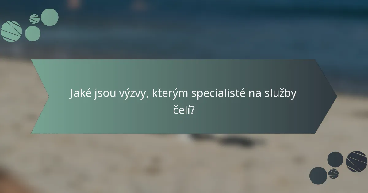 Jaké jsou výzvy, kterým specialisté na služby čelí?