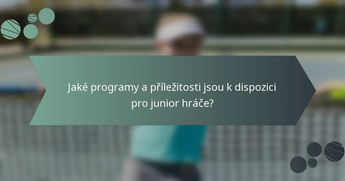 Jaké programy a příležitosti jsou k dispozici pro junior hráče?