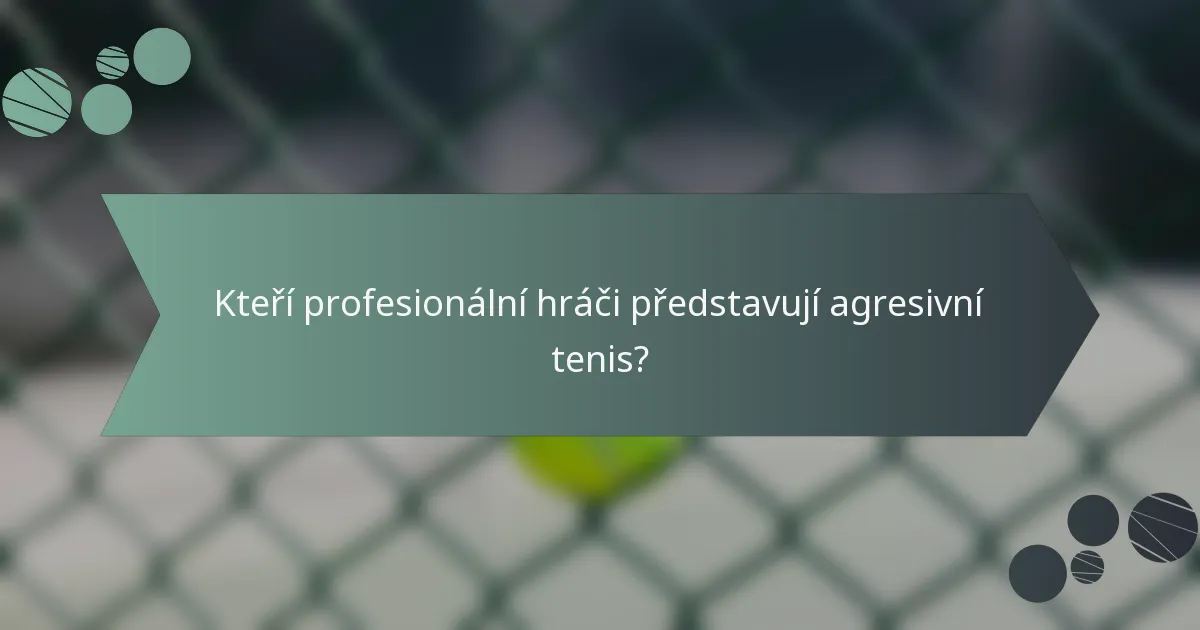 Kteří profesionální hráči představují agresivní tenis?